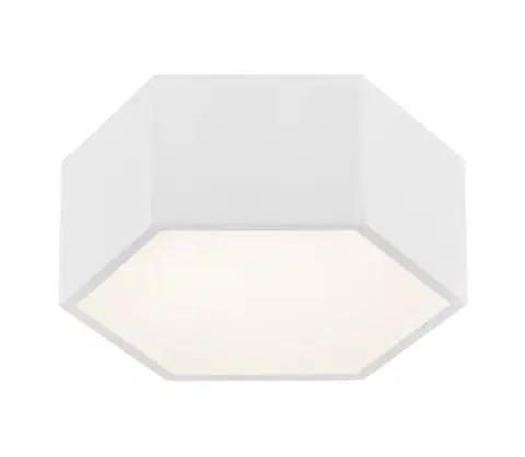 Svietidlá Argon 3828 - LED Stropné svietidlo ARIZONA LED/9W/230V biela 3828
