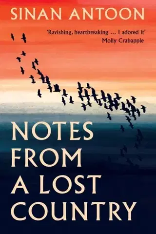Beletria Notes from a Lost Country - Sinan Antoon