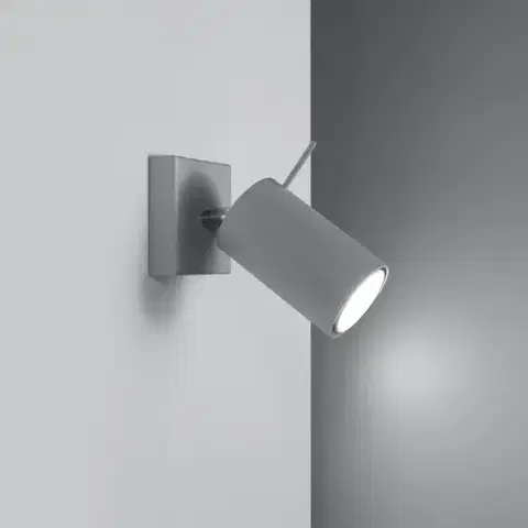 Lampy do obývačky Nástenná lampa Oregon 1 sivá