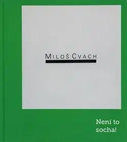 Sochárstvo, plastika Miloš Cvach: Není to socha! - Miloš Cvach