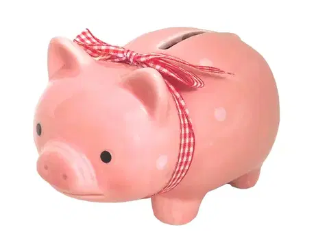 Pokladničky MAKRO - Pokladnička prasiatko