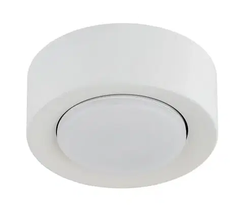 Svietidlá Argon 8915 - Stropné svietidlo ELORA 1xGX53/7W/230V pr. 11 cm biela 8915