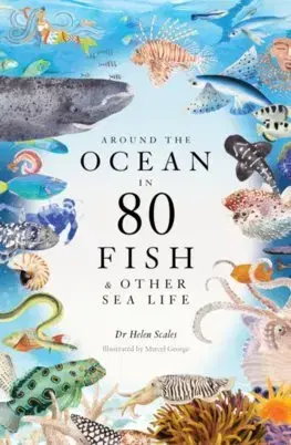 Biológia, fauna a flóra Around the Ocean in 80 Fish and other Sea Life - Helen Scales