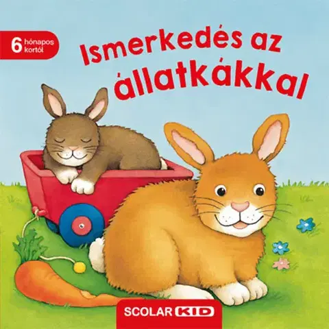 Leporelá, krabičky, puzzle knihy Ismerkedés az állatkákkal - Monika Neubacher-Fesser