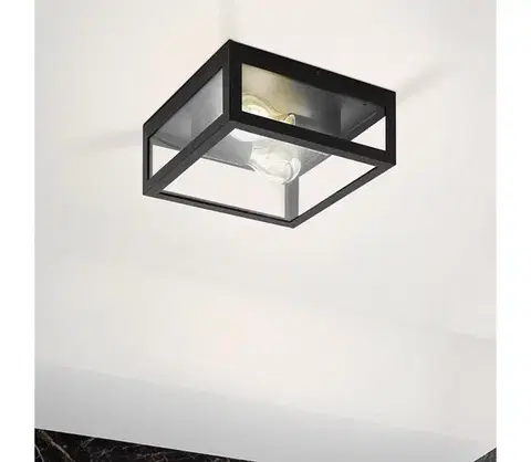 Svietidlá Eglo 99122 - Kúpeľňové stropné svietidlo AMEZOLA 2xE27/40W/230V IP44 99122