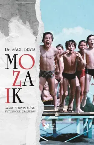 Partnerstvo a rodičovstvo - ostatné Mozaik - Avagy hogyan élünk patchwork családban - Beáta Ságh