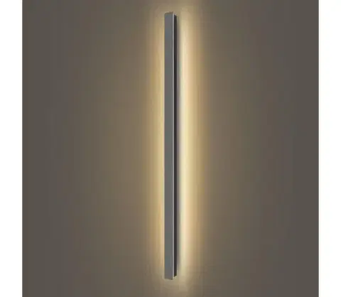 LED osvetlenie BRILAGI - LED vonkajšie nástenné svietidlo LINEAR LED/32W/230V 3000K IP65 antracit BRI288