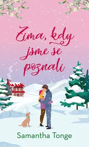 Romantická beletria Zima, kdy jsme se poznali - Samantha Tonge