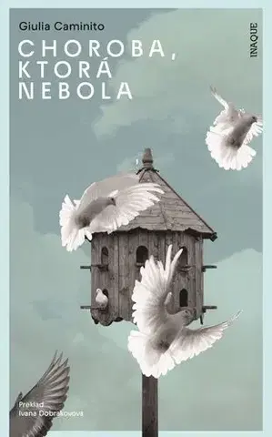 Romantická beletria Choroba, ktorá nebola - Giulia Caminito