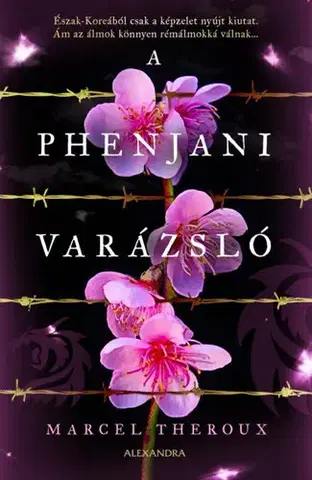 Svetová beletria A phenjani varázsló - Marcel Theroux