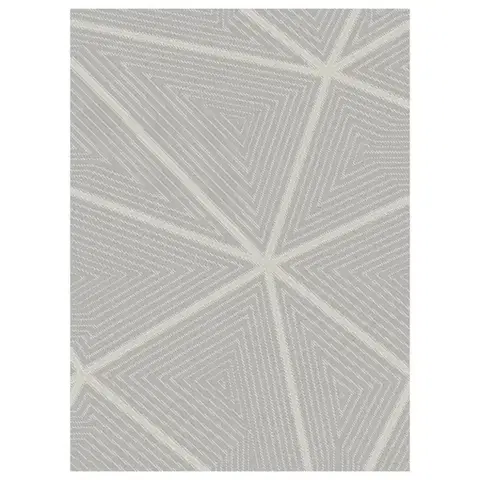 Moderné koberce Koberec Pierre Cardin Valeria 0,8/1,5 Yl02b