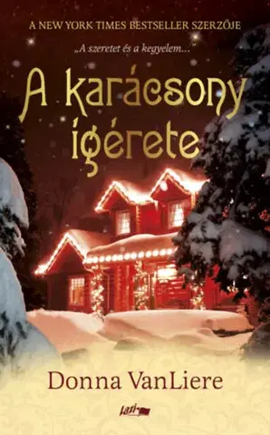 Svetová beletria A karácsony ígérete - Donna VanLiere