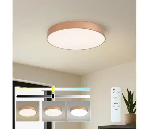 Svietidlá BRILAGI - stmievateľné stropné svietidlo POOL LED, 60 W, 230 V, priemer 50 cm, bronzové, s diaľkovým ovládaním BRI1029