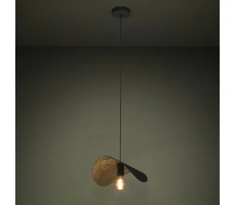 Svietidlá Eglo 390392 - Luster na lanku SACEDA 1xE27/40W/230V 41 cm čierna/zlatá 390392