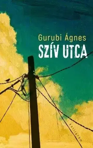 Svetová beletria Szív utca - 4. kiadás - Ágnes Gurubi