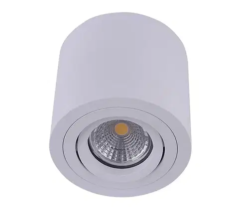 Svietidlá Emithor  - Stropné bodové svietidlo SURFACE 1xGU10/50W/230V 
