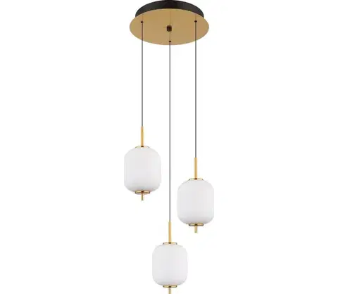 Svietidlá Globo 15217-3 - LED Luster na lanku EWALD LED/20W/230V 15217-3