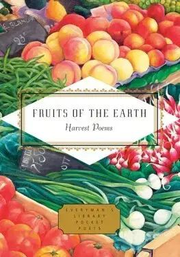 Poézia - antológie Fruits of the Earth - Michael Waters,Mihaela Moscaliuc