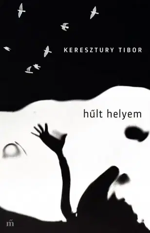 Svetová beletria Hűlt helyem - Tibor Keresztury