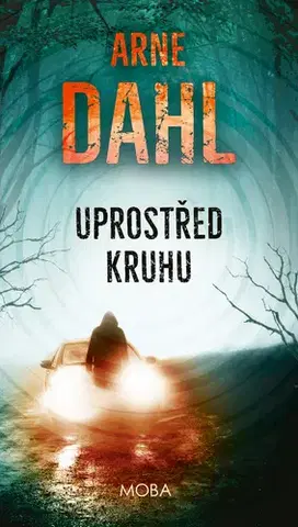 Detektívky, trilery, horory Uprostřed kruhu - Arne Dahl
