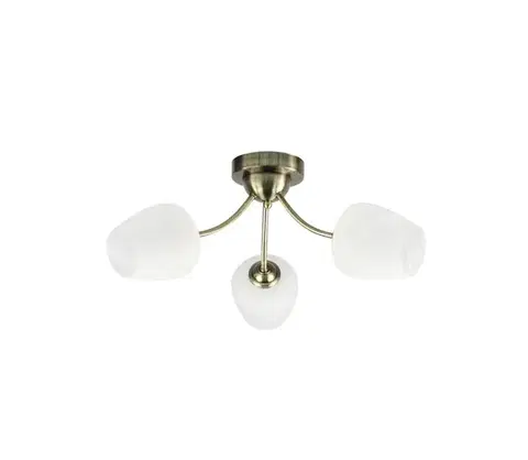 Svietidlá  Prisadený luster ZINA 3xE27/40W/230V mosadz/biela 33-22585