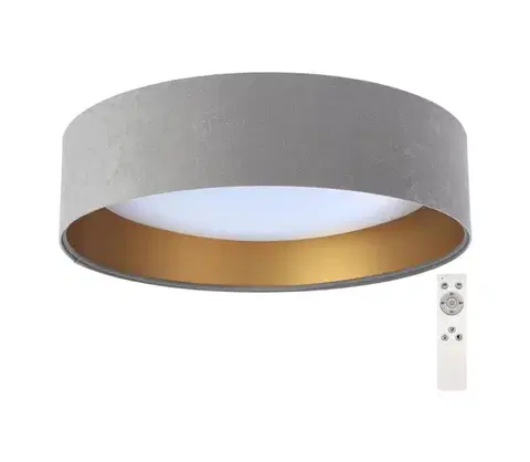 Svietidlá  LED Stmievateľné stropné svietidlo SMART GALAXY LED/24W/230V šedá/zlatá + DO BG-BS0293