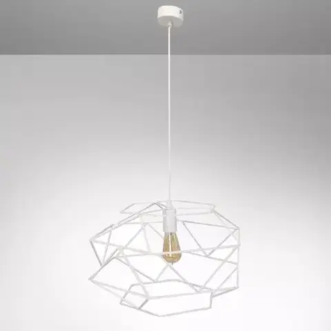 Moderné lampy do obývačky Lampa Cage 2697/Z-B-1 Bi Lw1