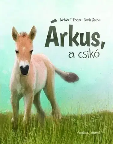 Rozprávky Árkus, a csikó - Zoltán Török,Eszter Molnár
