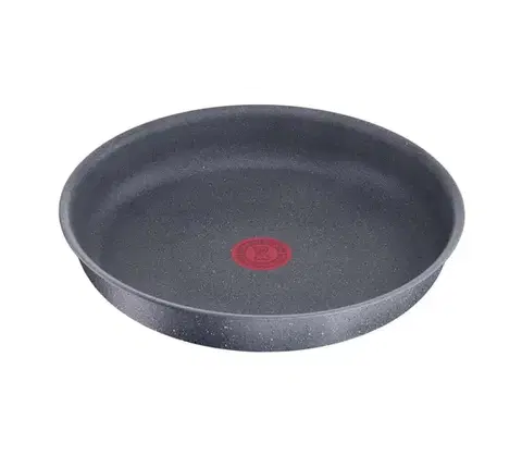 Panvice Tefal Panvica Ingenio Natural Force 24 cm