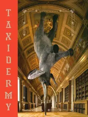 Umenie - ostatné Taxidermy - Alexis Turner