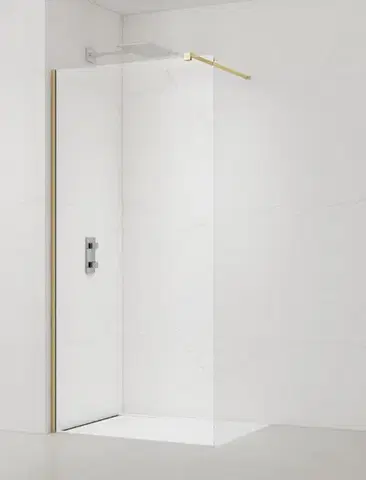 Sprchové dvere Sprchová zástena walk-in 120 cm SAT Walk-In SATBWI120PRMO SATBWI120PRMO