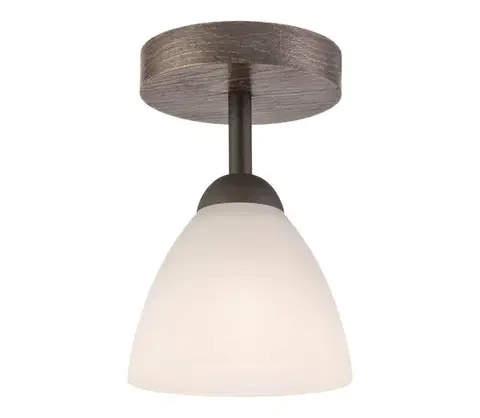 Svietidlá  Prisadený luster ADRIANO 1xE27/60W/230V LM 1.55