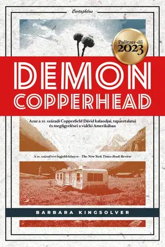 Beletria - ostatné Demon Copperhead - Barbara Kingsolver