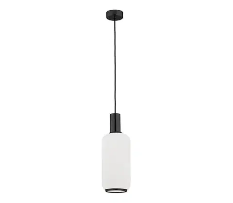 Svietidlá Argon 8563 - Luster na lanku SAGUNTO PLUS 1xE27/15W/230V pr. 14 cm čierna 8563