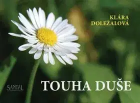 Česká beletria Touha duše - Klára Doležalová