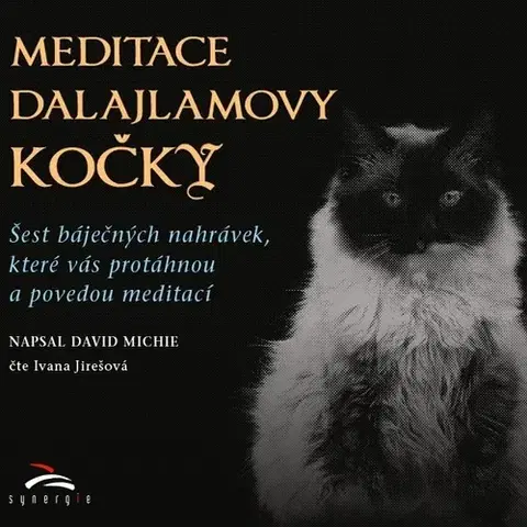 Duchovný rozvoj Synergie Meditace dalajlamovy kočky