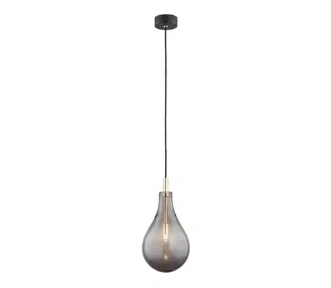 Svietidlá Argon 4716 - Luster na lanku OAKLAND 1xG9/6W/230V 4716