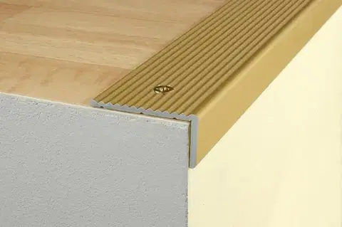 Schodové lišty a profily Schodový profil 40 x 20 mm (skrutkovací) Šampaň E02