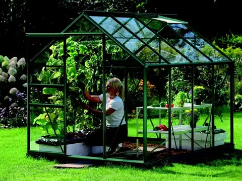 Skleníky Skleník VITAVIA VENUS 5000 číre sklo 3 mm Dekorhome