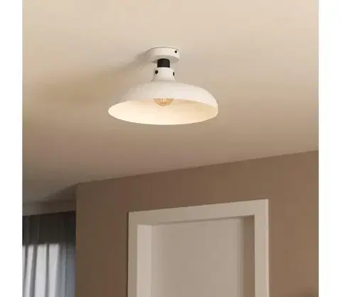 Svietidlá Eglo 43842 - Stropné svietidlo MATLOCK 1xE27/40W/230V 43842
