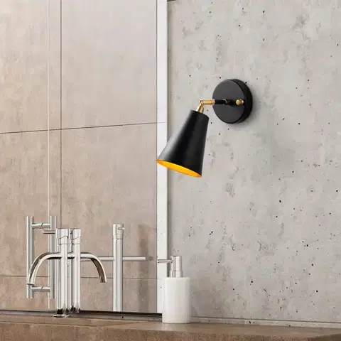 Nástenné svetlá Nástenná lampa Evander - 13191