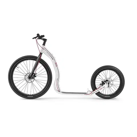 Kolobežky Yedoo Trexx Disc 26/20" White