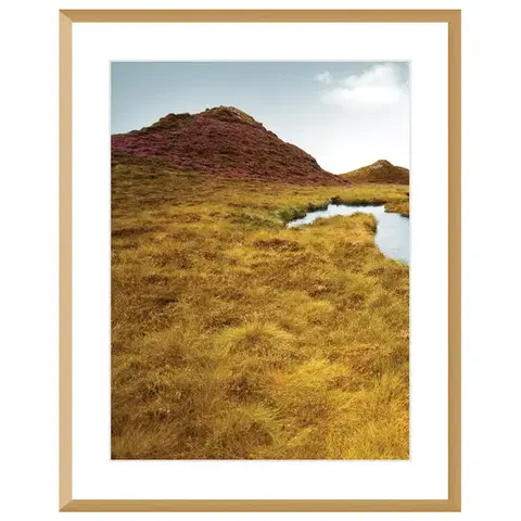 Obrazy Obraz Grassy Field I 40x50cm