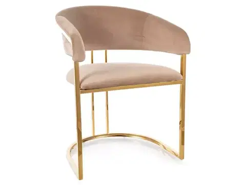 Jedálenské stoličky a kreslá Stolička Tulipe Velvet