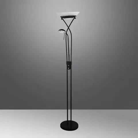 Stojace lampy do obývačky Stojanová lampa Bosto 3538 LP2