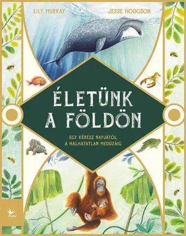 Príroda Életünk a Földön - Jesse Hodgson,Lily Murray