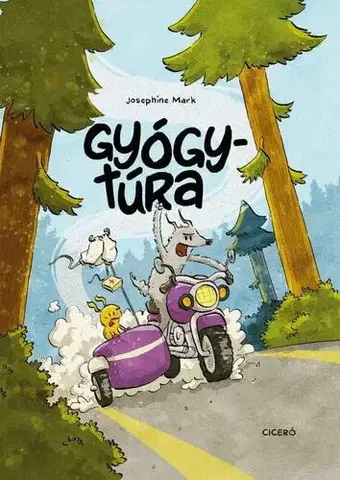 Rozprávky Gyógytúra - Josephine Mark,Bottka Sándor Mátyás