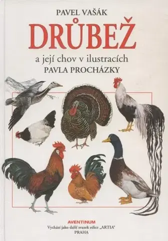 Vtáky, hydina Drůbež a její chov v ilustracích Pavla Procházky - Pavel Vašák,Pavel Procházka
