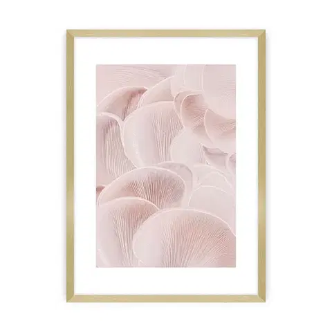 Obrazy Plagát Pastel Pink I