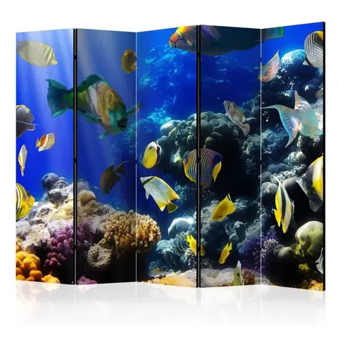 Paravány Paraván Underwater adventure Dekorhome